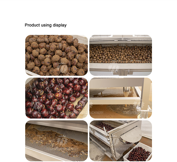380KG 1.5KW Continuous cleaning equipment seafood wool roller cleaning root cleaning