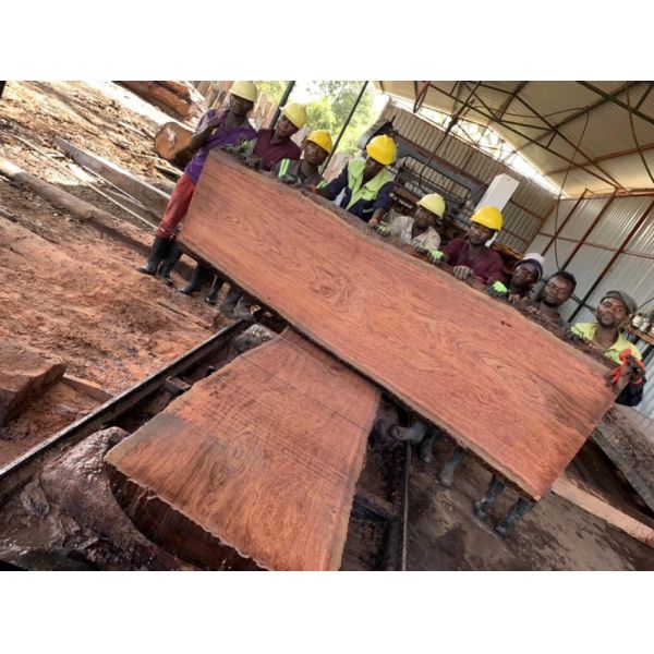 Portable Wood Cutting Band Saw Sawmill Horizontal Wood Band Saw Machine For Wood Working Band Saw For Cutting Wood