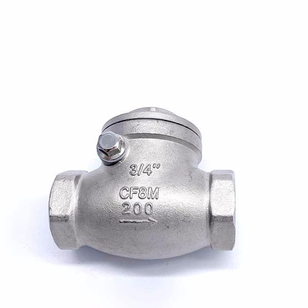 Quality SS304 Full Bore Horizontal Non-Return Valve for Casting Investment Efficiency for sale