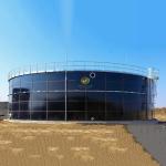 Anaerobic Reactor Biogas Plant With Reasonable Design And Construction