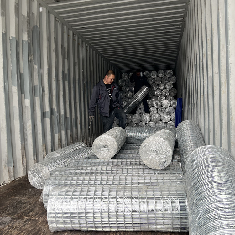 Best Seller 2"X2" Mesh Size  High Quality  Galvanized Welded Wire Mesh
