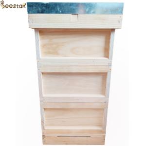 Langstroth Style Wooden Beehive Equipment for Beekeeping and Apiculture