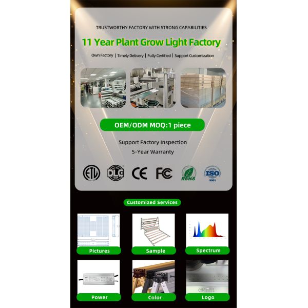 Full Spectrum Indoor Plant Grow Light 2x2ft 3x3ft LED Grow Light