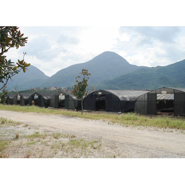 No Welding Mushroom Outdoor Plastic Greenhouse Plastic Uv Greenhouse