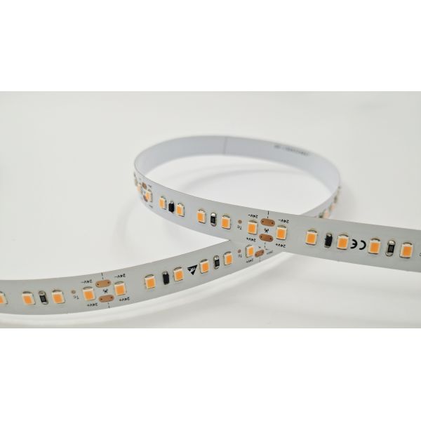 20m Ultra Long Constant Current Flexible Led Strip Light Tape 24V 12mm Led Flexible Ribbon