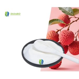 China Fruit Powder Litchi Juice Powder Litchi Fruit Powder wholesale