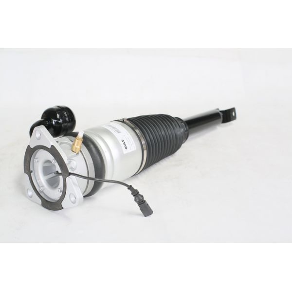 Airmatic Air Suspension Shock Strut Replace Fit Bentley Continental Rear 3W5616001D 1