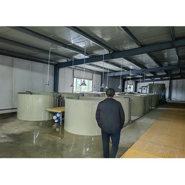 30m Diameter Recirculating Aquaculture System Fish Pond RAS Farming Aquaculture