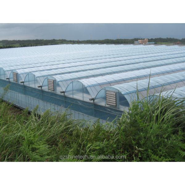 Large Multi Span Agricultural Film Greenhouses With Optional Cooling System