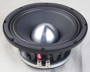 Black Neodymium Shallow Woofer Speaker Amplifier Customized CE Certification