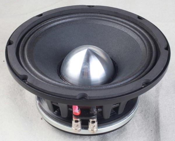 Quality Black Neodymium Shallow Woofer Speaker Amplifier Customized CE Certification for sale